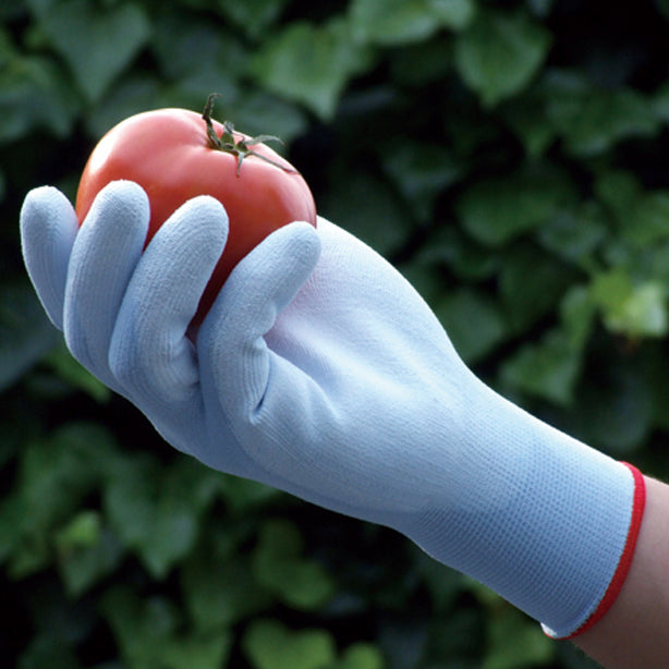 ピッタリブルーケミソフト手袋