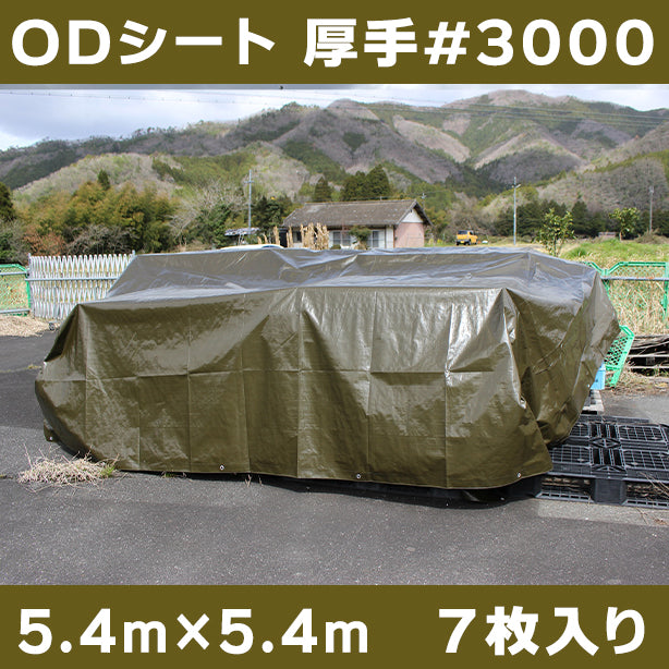 ODシート(厚手・耐候性)サイズ5.4×5.4m(7枚入)