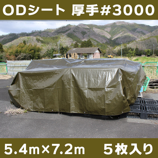 ODシート(厚手・耐候性)サイズ5.4×7.2m(5枚入)