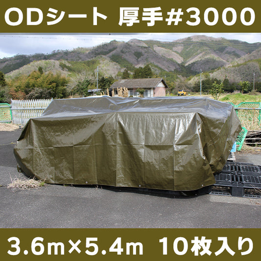 ODシート(厚手・耐候性)サイズ3.6×5.4m(10枚入)