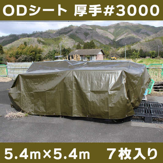 ODシート(厚手・耐候性)サイズ5.4×5.4m(7枚入)
