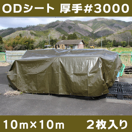 ODシート(厚手・耐候性)サイズ10×10m(2枚入)