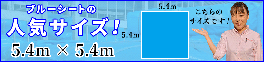 ブルーシートの人気サイズ 5.5m × 5.4m