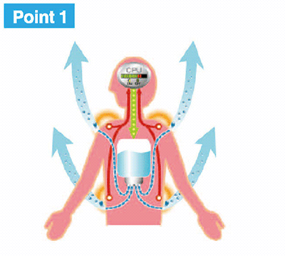 人体の身体に備わる冷却システム　Point1