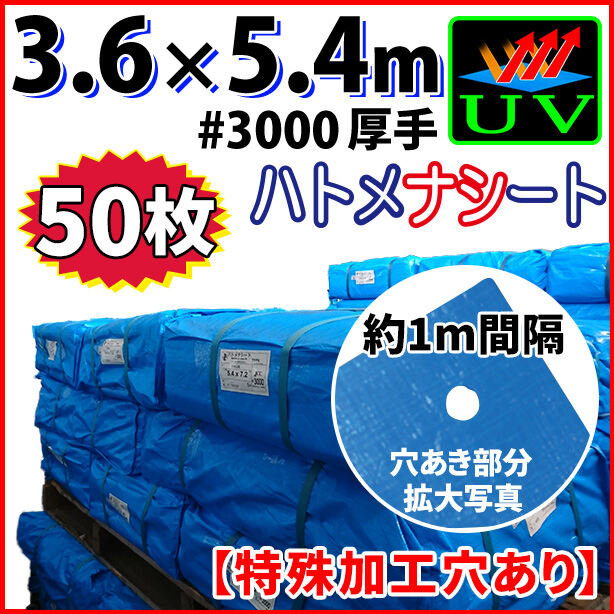 UVカットブルーシート(ハトメ金属なし)サイズ3.6×5.4m(50枚入)　UVBS#3000HN-1-50S