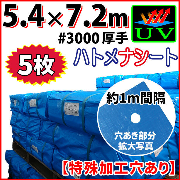 UVカットブルーシート(ハトメ金属なし)サイズ5.4×7.2m(5枚入)　UVBS#3000HN-2