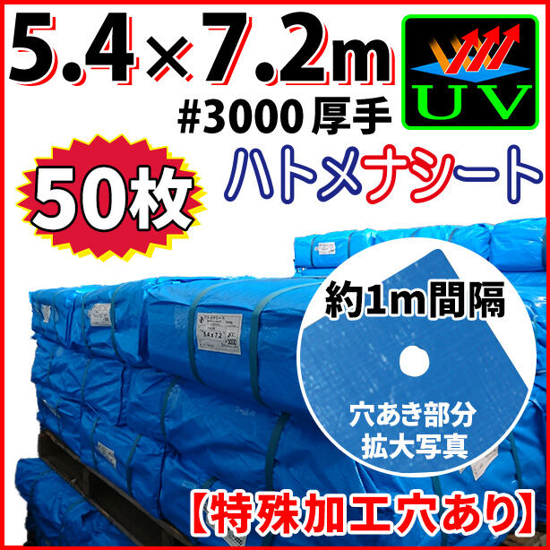 UVカットブルーシート(ハトメ金属なし)サイズ5.4×7.2m(50枚入)　UVBS#3000HN-2-50S
